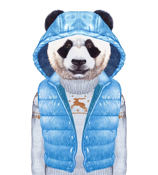 Animals as a human. Panda in down vest and sweater. — Stock Photo, Image