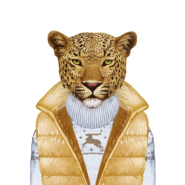 인간으로 서 동물입니다. 조끼와 스웨터에 표범의 초상화. — 스톡 사진