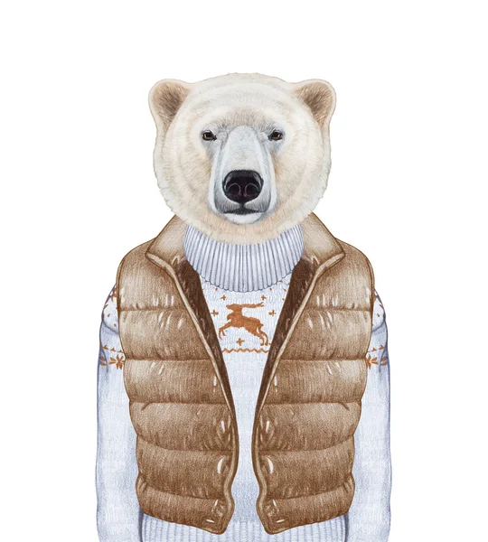 Urso em colete e camisola para baixo — Fotografia de Stock