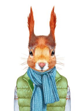 yelek ve kazak sincap.