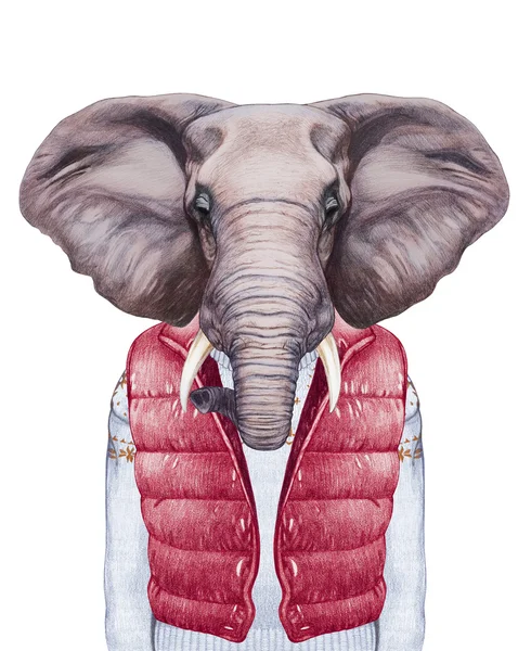 Elefante in piumino e maglione — Foto Stock