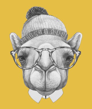Öğe, dikey, Camel, şapka ve gözlük 