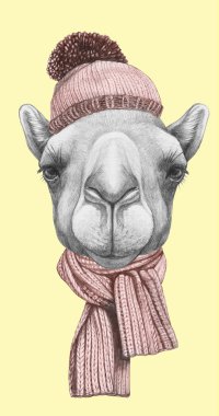 Yorkshire Terrier köpek ile gözlük ve eşarp