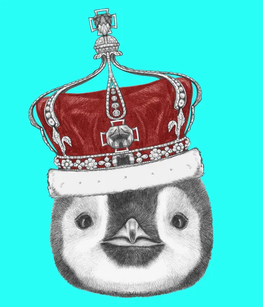 Porträt eines Pinguins mit Krone — Stockfoto
