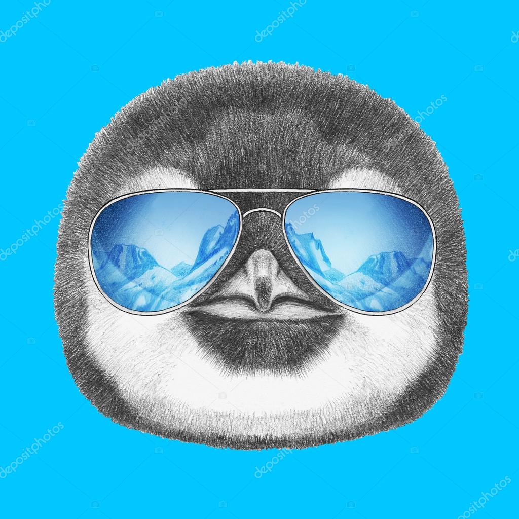 podning Næsten Calibre Portrait of Penguin with mirror sunglasses. Stock Photo by ©Victoria_Novak  110089366