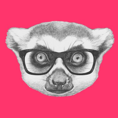 Lemur portresi gözlüklü. 