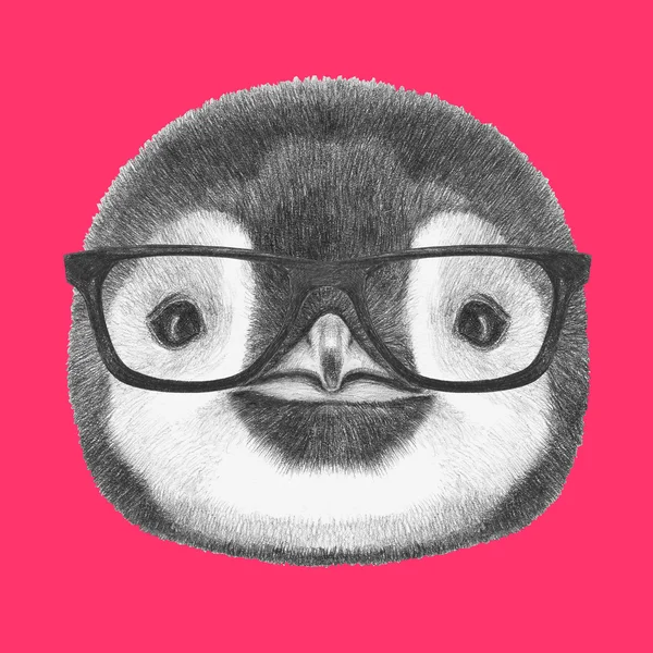Porträtt av pingvin med glasögon. — Stockfoto