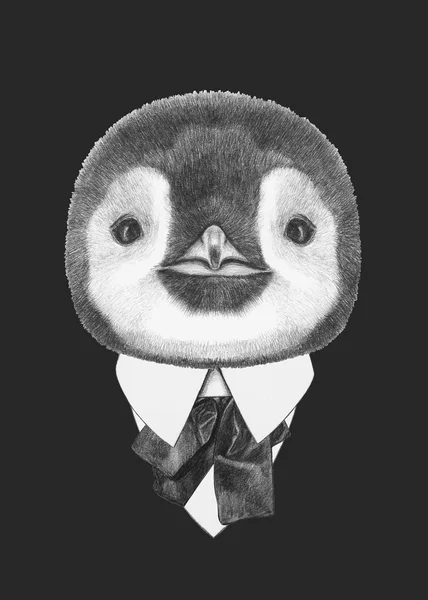 Porträtt av pingvin i kostym. — Stockfoto