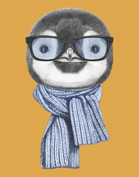 Портрет пінгвіна в окулярах і шарфі . — стокове фото