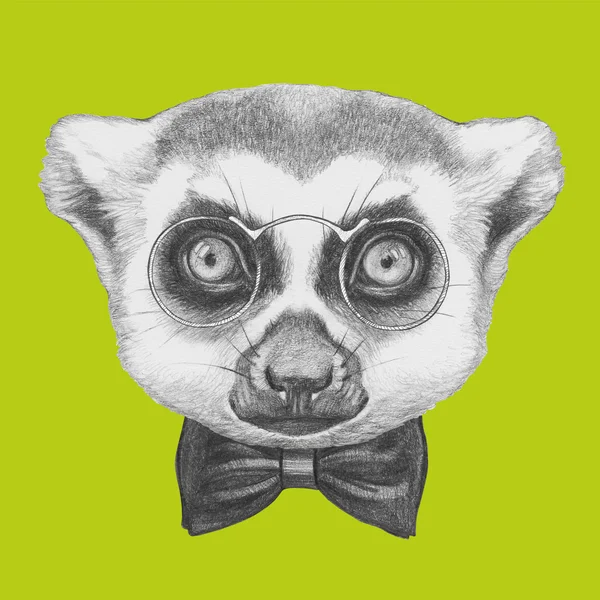 Portrait of Lemur with glasses and bow tie. — Stock Photo, Image