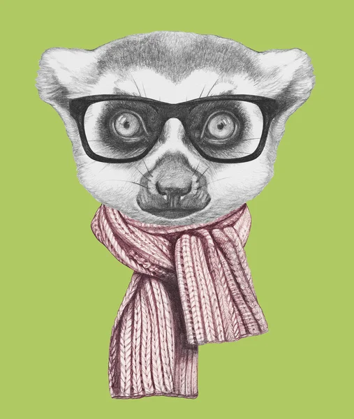 Portrait of Lemur with glasses and scarf. — Stock Photo, Image
