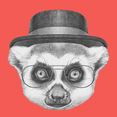 Lemur portresi ile gözlük ve şapka. 