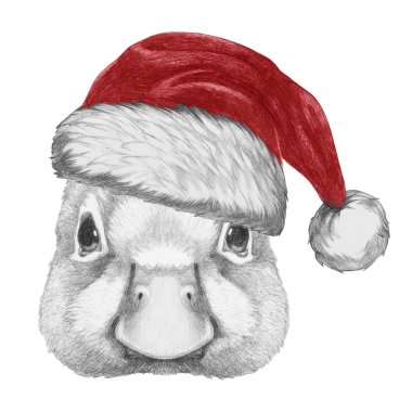 Ördek Noel Baba şapkası ile portresi