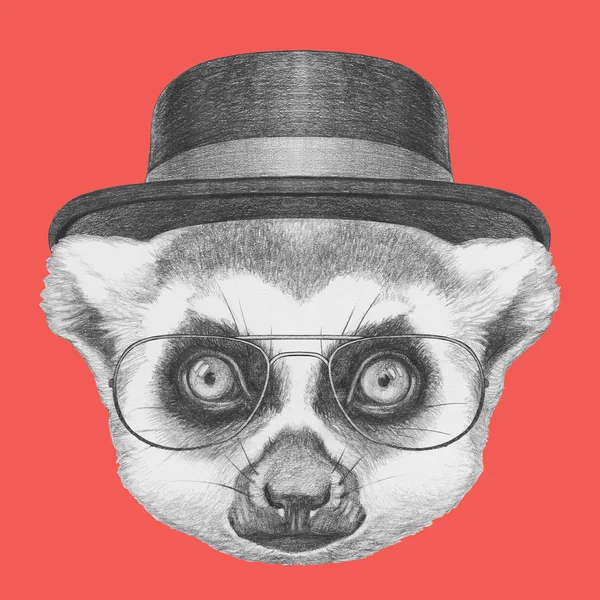 Portrait of Lemur with glasses and hat. — Stock Photo, Image