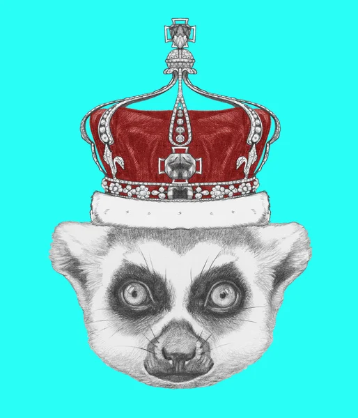 Retrato de Lemur con corona . —  Fotos de Stock