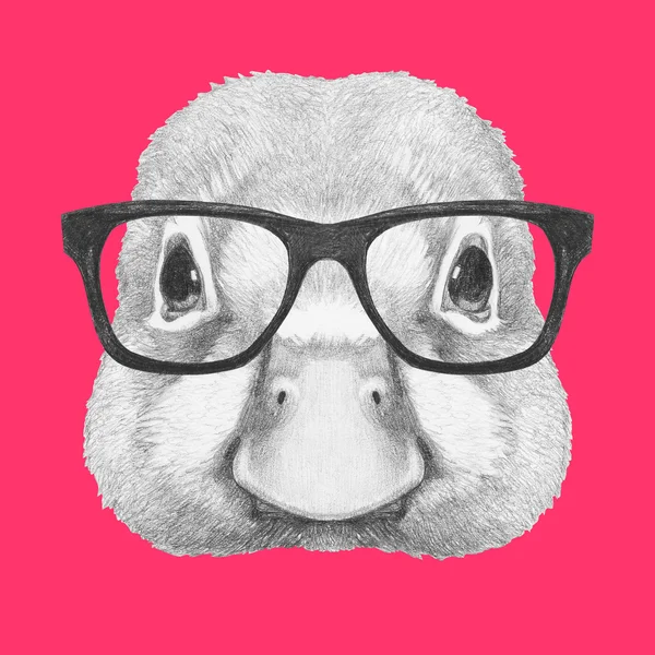 Portrait of Duck with glasses — Stock Photo, Image