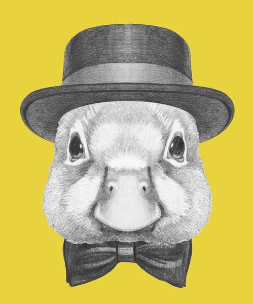 Portrait of Duck with hat and bow tie. — Stock Photo, Image