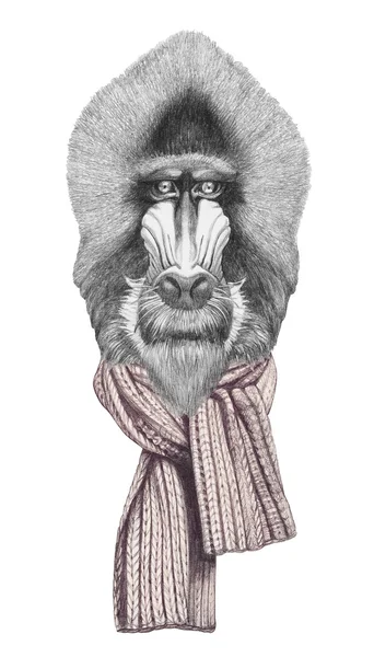 Portrait de Mandrill avec écharpe . — Photo