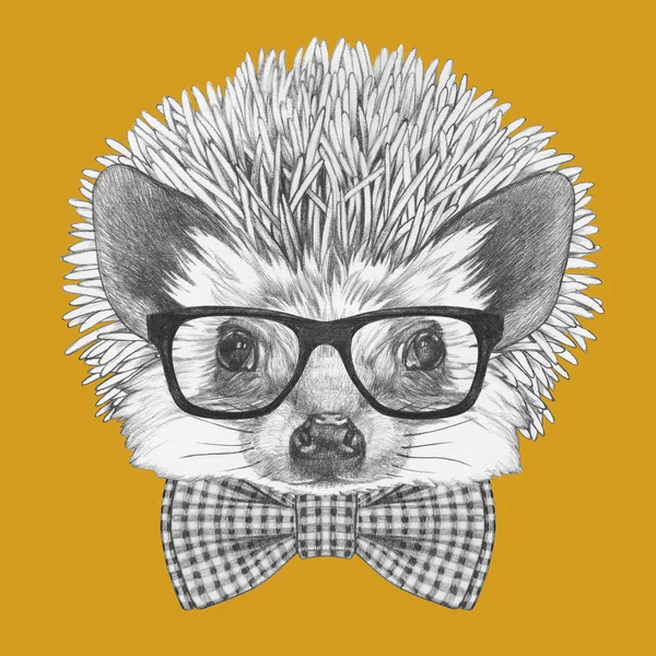 Hedgehog with glasses and bow tie. — Stock Photo, Image