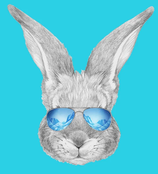 Portret van konijn met mirror zonnebril. — Stockfoto