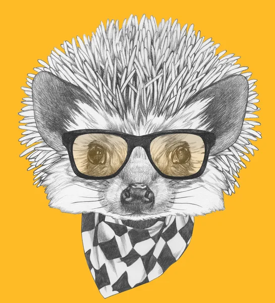 Retrato de ouriço com óculos e cachecol . — Fotografia de Stock