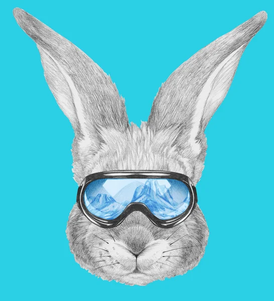 Portrait de lapin avec lunettes de ski . — Photo