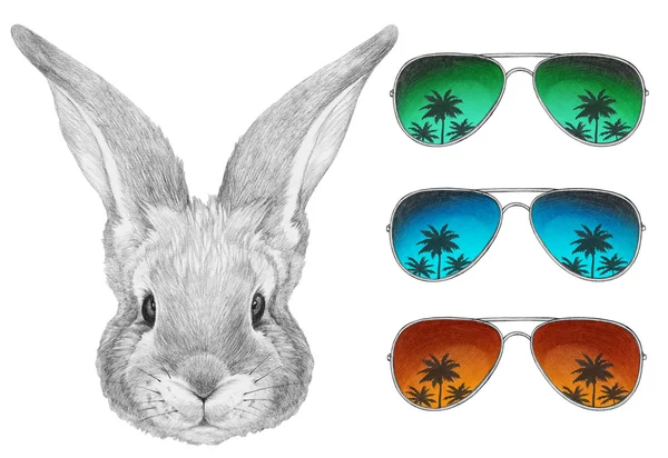 Porträtt av kanin med spegel solglasögon. — Stockfoto
