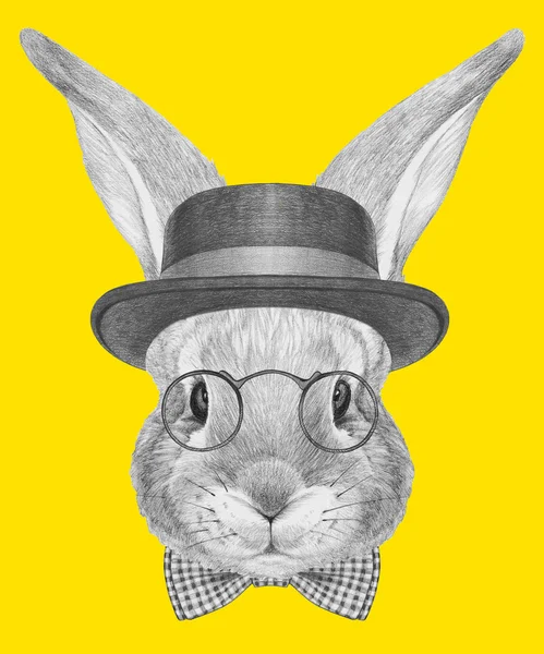 Rabbit with glasses, hat and bow tie. — Stock Photo, Image