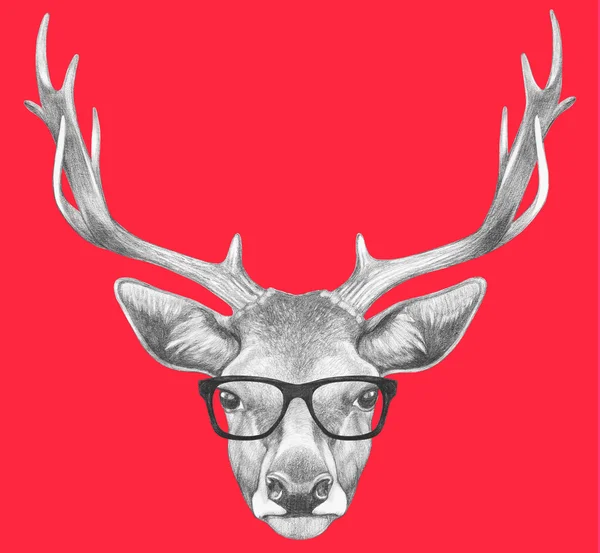 戴着眼镜的鹿肖像. — 图库照片