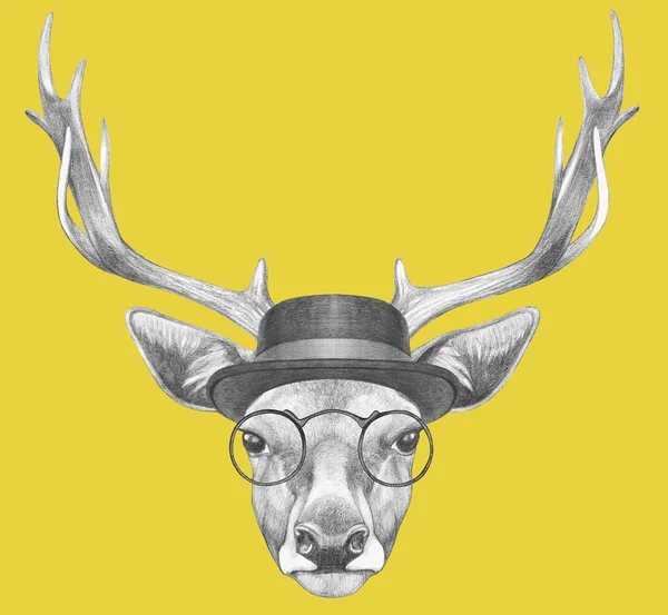 Portrait de cerf avec lunettes et chapeau . — Photo