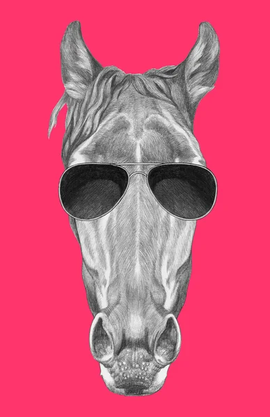 Портрет лошади в очках . — стоковое фото