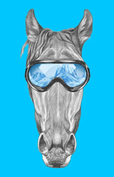 Porträtt av häst med ski skyddsglasögon — Stockfoto