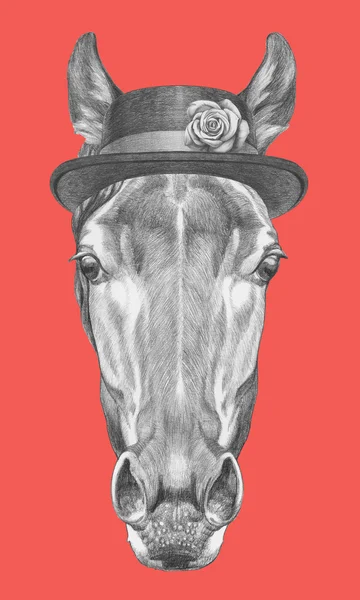 Porträtt av häst med hatt — Stockfoto
