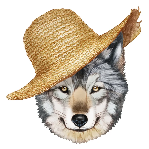 Portrait of Wolf with straw hat. — Stock Photo, Image