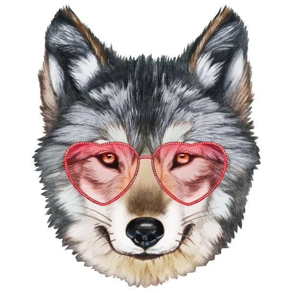 Retrato de Lobo con gafas . — Foto de Stock