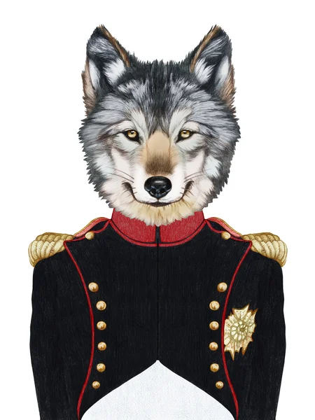 Portrait of Wolf in military uniform. — Stock Photo, Image