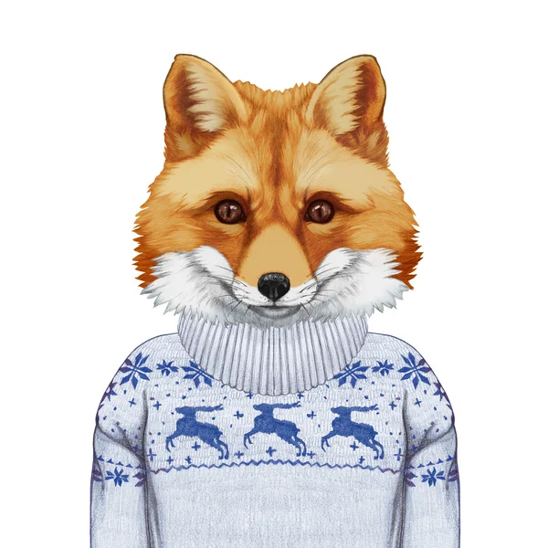 Portrait of Fox in sweater. — Stock Photo, Image