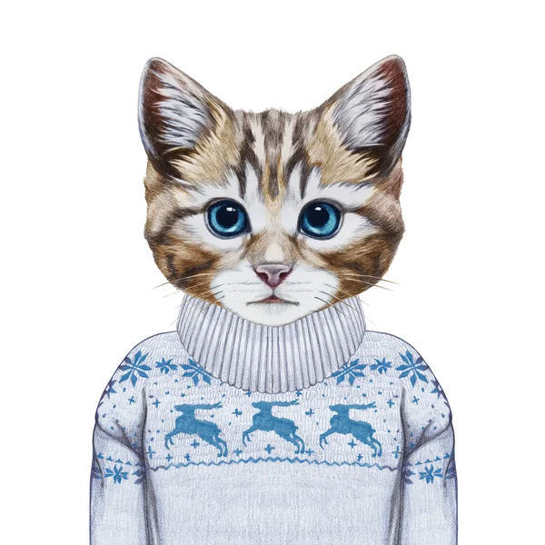 セーターにキティの肖像. — ストック写真