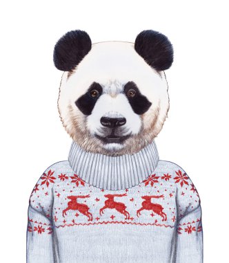 Panda portresi kazaklı. 