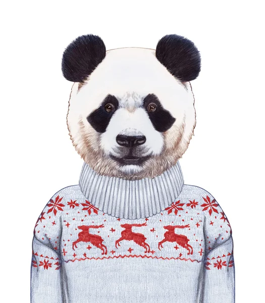 스웨터에 팬더의 초상화. — 스톡 사진