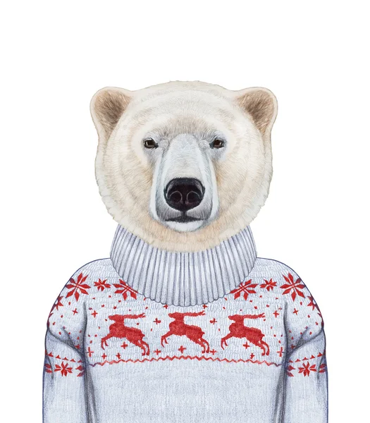 Портрет білого ведмедя в светрі . — стокове фото