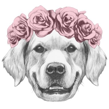 Çiçek baş çelenk ile Golden Retriever