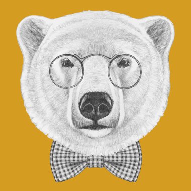 Kutup ayısı ile gözlük ve papyon