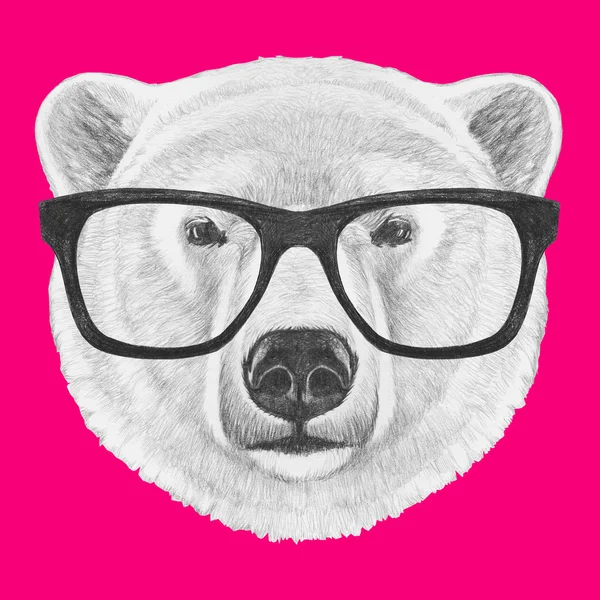 Urso polar com óculos — Fotografia de Stock