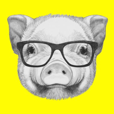 Domuzcuk portresi gözlüklü. 