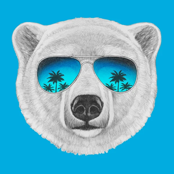 Oso Polar con gafas de sol espejo —  Fotos de Stock