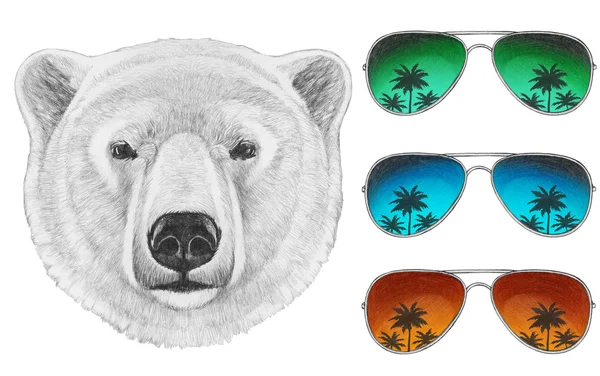 Portrait de l'ours polaire avec des lunettes de soleil miroir . — Photo