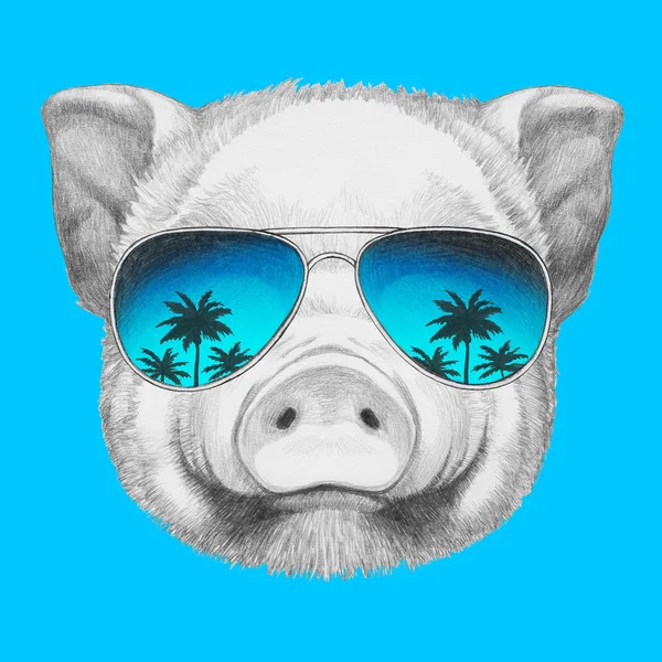 Piggy com óculos de sol espelho — Fotografia de Stock