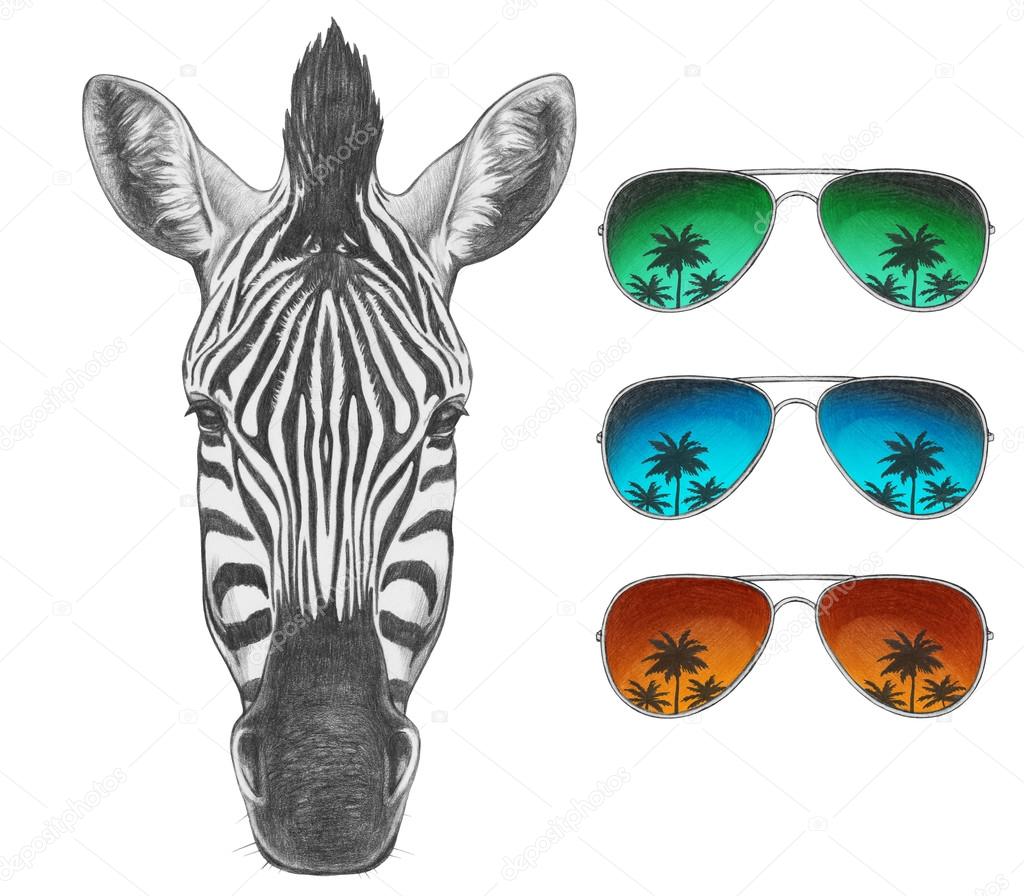 Zebra with mirror sunglasses — Stock Photo © Victoria_Novak 110630114