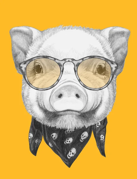 Porträt von Schweinchen mit Schal und Brille. — Stockfoto